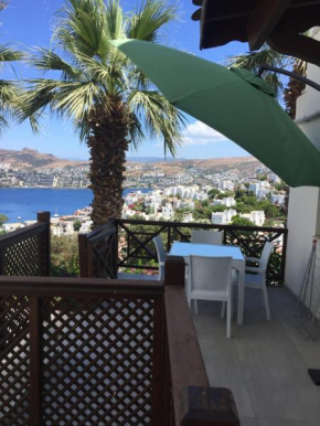 Bodrum Gündoğan koyu manzaralı